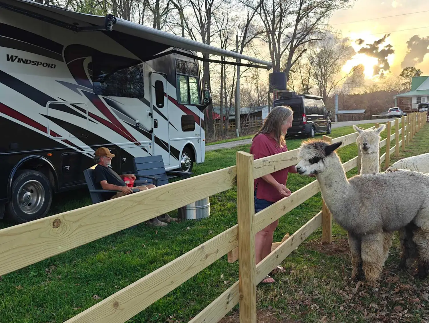 A Thor Windsport parked beside the alpaca pasture at sunset, awning out, with guests at the fence feeding the herd